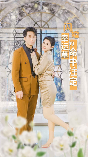 闪婚幸运草的命中注定（82集）精彩短剧下载