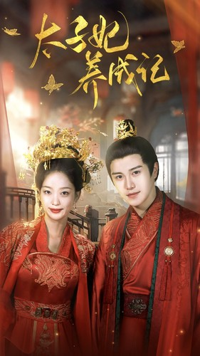 太子妃养成记（97集）一起看短剧