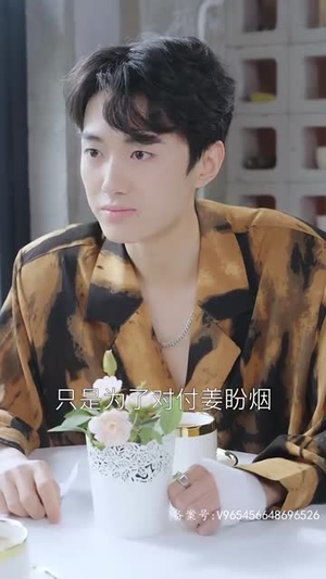 余生不再有你（87集）经典老剧免费看