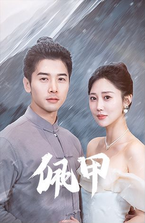 佩甲（93集）全集