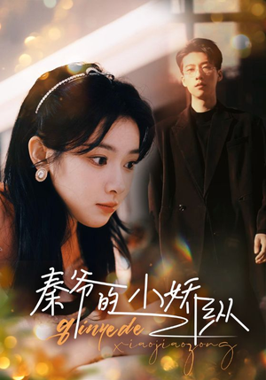 秦爷的小娇纵（96集）短剧上头又好看