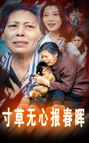 寸草无心报春晖&孝子慈孙（31集）第三季