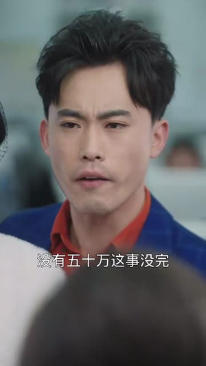 春运归途团圆年（40集）第32集