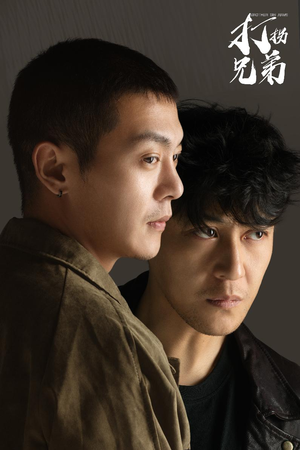打拐兄弟（30集）精彩短剧随心推