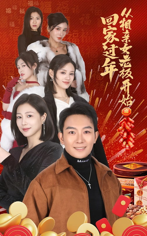 回家过年从相亲女老板开始（64集）集免费看短剧