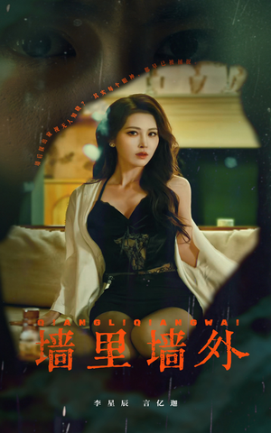 墙里墙外（55集）看到了大结局