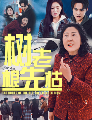 树老根先枯（33集）分享好看的短剧
