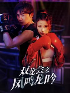 双龙会之凤鸣龙吟（80集）在哪个平台看