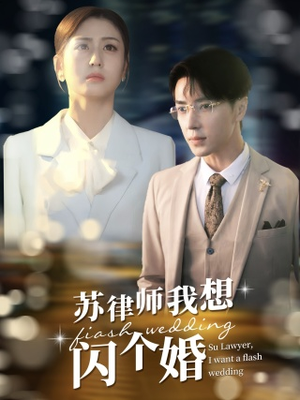苏律师我想闪个婚（95集）高分推荐免费看
