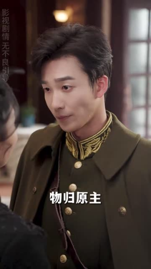 少帅的笼中鸟（70集）在哪看