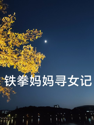 铁拳妈妈寻女记（69集）演的怎么样
