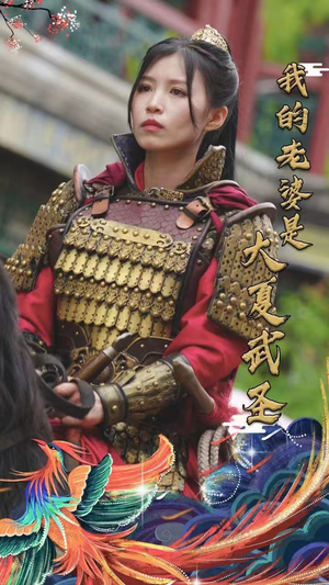 我的老婆是大夏武圣（72集）大结局太过瘾了