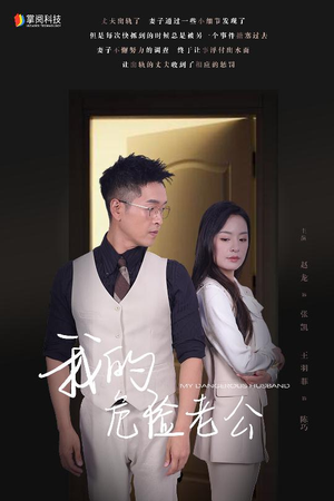 我的危险老公（63集）全剧看到大结局