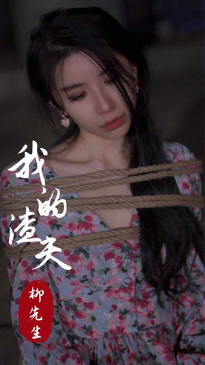 我的渣夫柳先生（80集）最火爆短剧