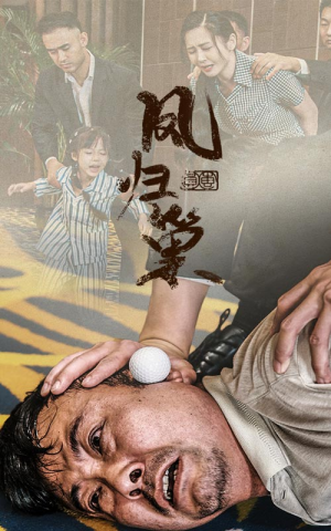 新版：凤归巢（68集）热门火爆短剧