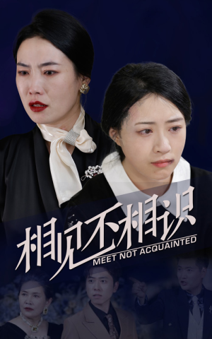 相见不相识（34集）女主角是谁
