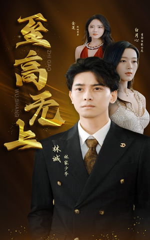 至高无上（30集）在线看完整版