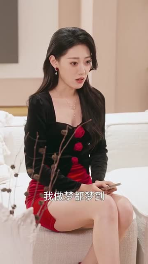 完美纠葛（68集）免费看全集