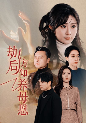 春风拂旧怨（45集） 短剧演员排行榜