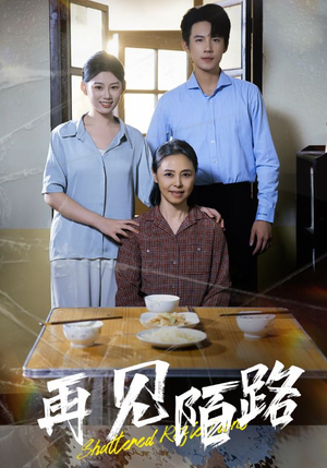 再见陌路（39集） 热播短剧全集看