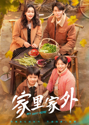 家里家外（79集） 好看的短剧电影