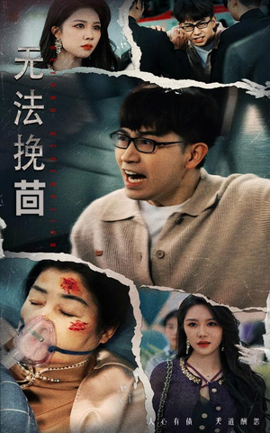 无法挽回（56集） 短剧免费看