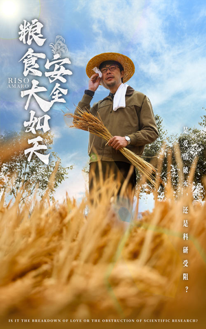 粮食安全大如天（43集） 不用花钱看全剧