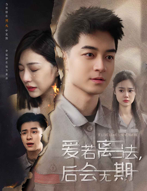 爱若离去，后会无期（70集）热门短剧在线看