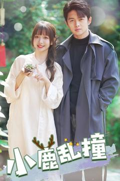 小鹿乱撞（40集） 短剧抢先看