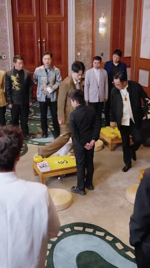 少年棋士（53集） 短剧抢先看全集
