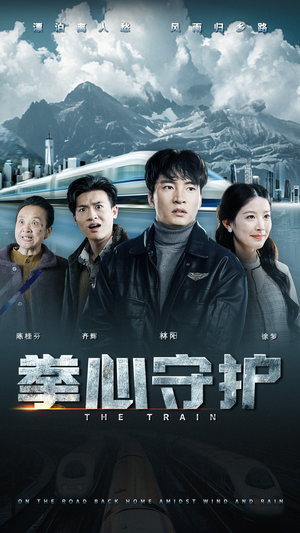 拳心守护（28集） 悬疑短剧推荐