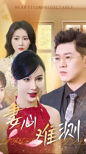 妻心难测（33集）高清无码免费看