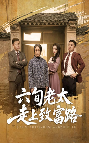 六旬老太走上致富路（60集）评价怎么样