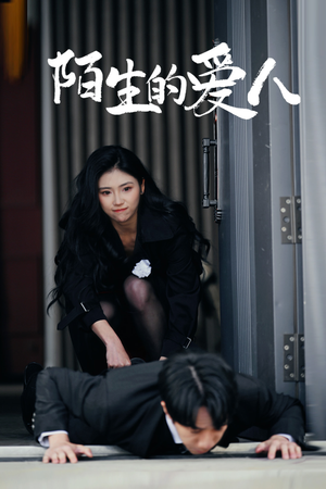 陌生的爱人（60集）热门短剧抢先