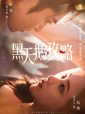 黑天鹅攻略（65集）免费观看完整版
