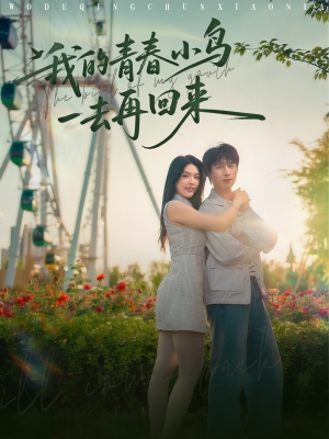 我的青春小鸟一去再回来（95集）好看的短剧