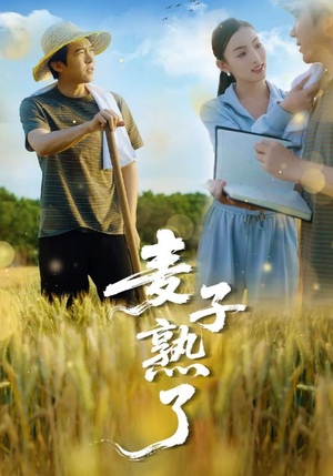 麦子熟了（52集）热门短剧追到爽