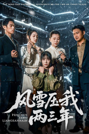 风雪压我两三年（50集）高分佳作免费看