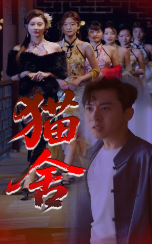 猫舍（34集）短剧全集免费