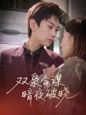 双枭合谋暗夜破晓（30集）红果免费看短剧