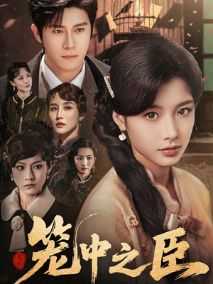 笼中之臣（67集）在线免费观影