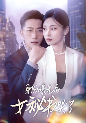 身份曝光后女秘书哭了（31集）在哪看是免费的