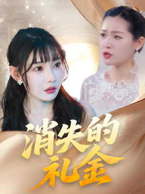 消失的礼金（30集）精彩不断免费看