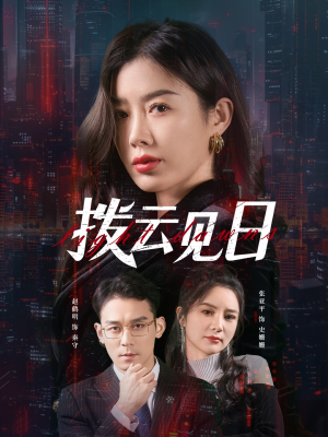 拨云见日（61集）零花钱看整部剧