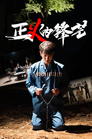 zheng正义的锋芒（64集）完整版免费观看