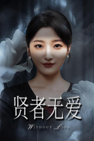 贤者无爱（42集）精彩好看的短剧