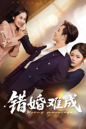 错婚难成（45集）免费观看全集