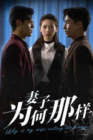 妻子为何那样（60集）短剧视频分享