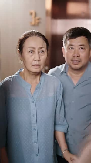 结婚当天我被妻子告上法庭（30集）全集在线看