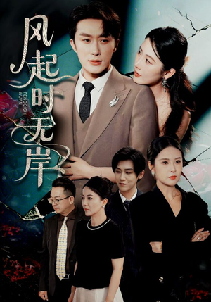 风起时无岸（58集）热播短剧免费看